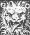 Ferghis's Avatar