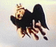 moonracer20000's Avatar